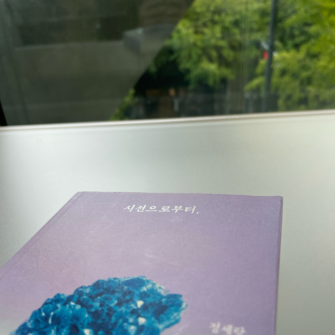 YJ님의 시선으로부터, 게시물 이미지