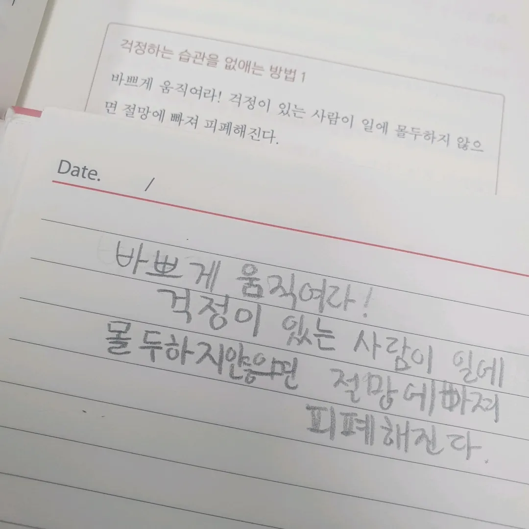 20306 박시은님의 게시물 이미지
