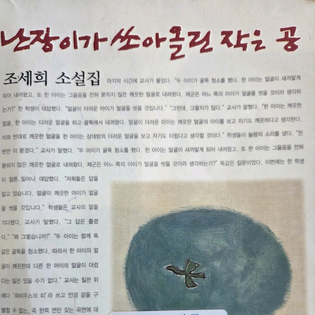 LGO님의 난장이가 쏘아 올린 작은 공 게시물 이미지