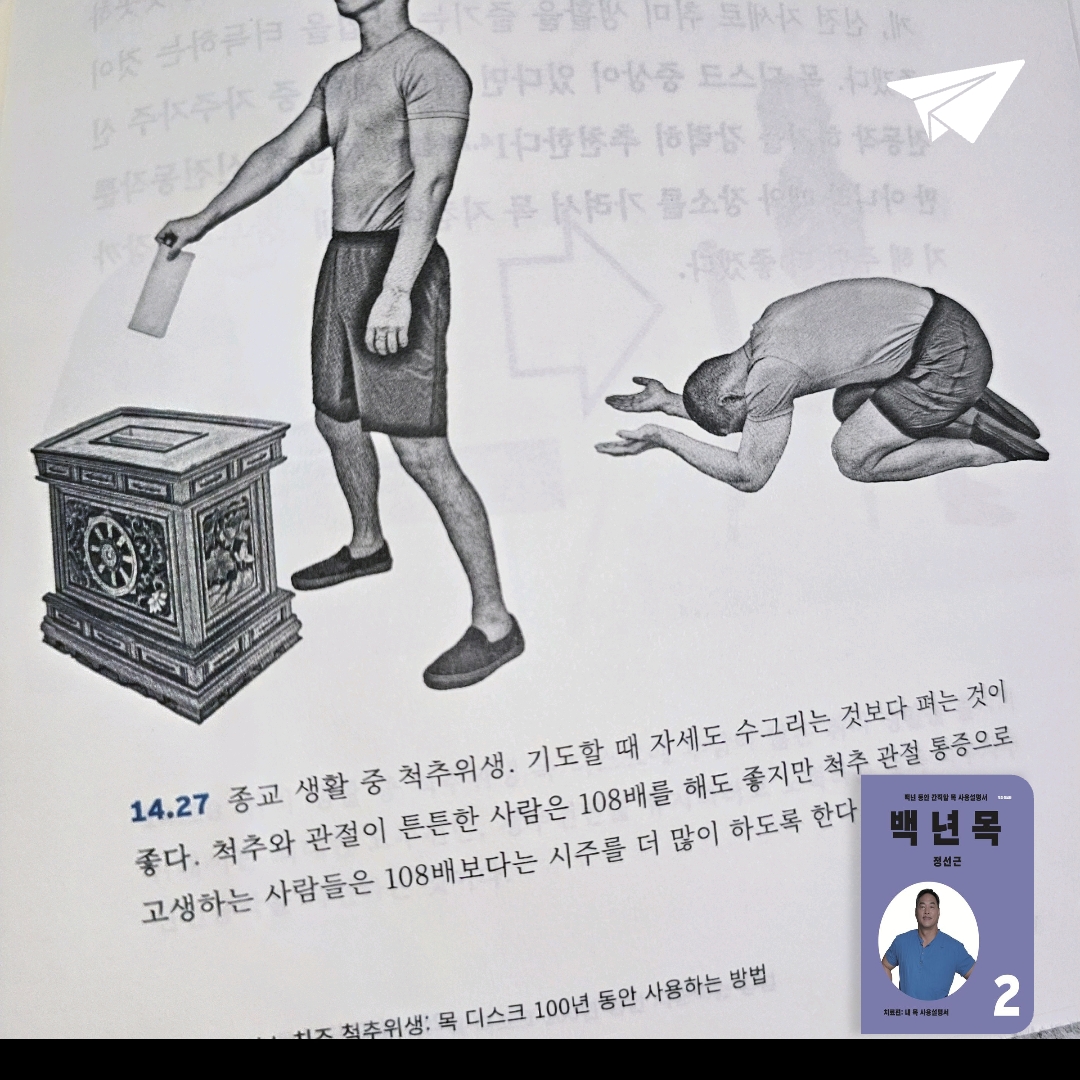 미래님의 백년목 2 게시물 이미지