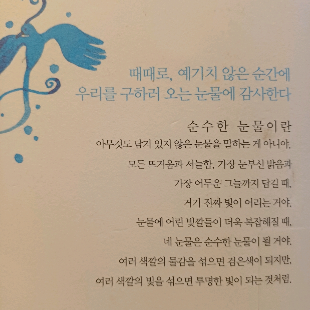 새벽빛님의 눈물상자 게시물 이미지