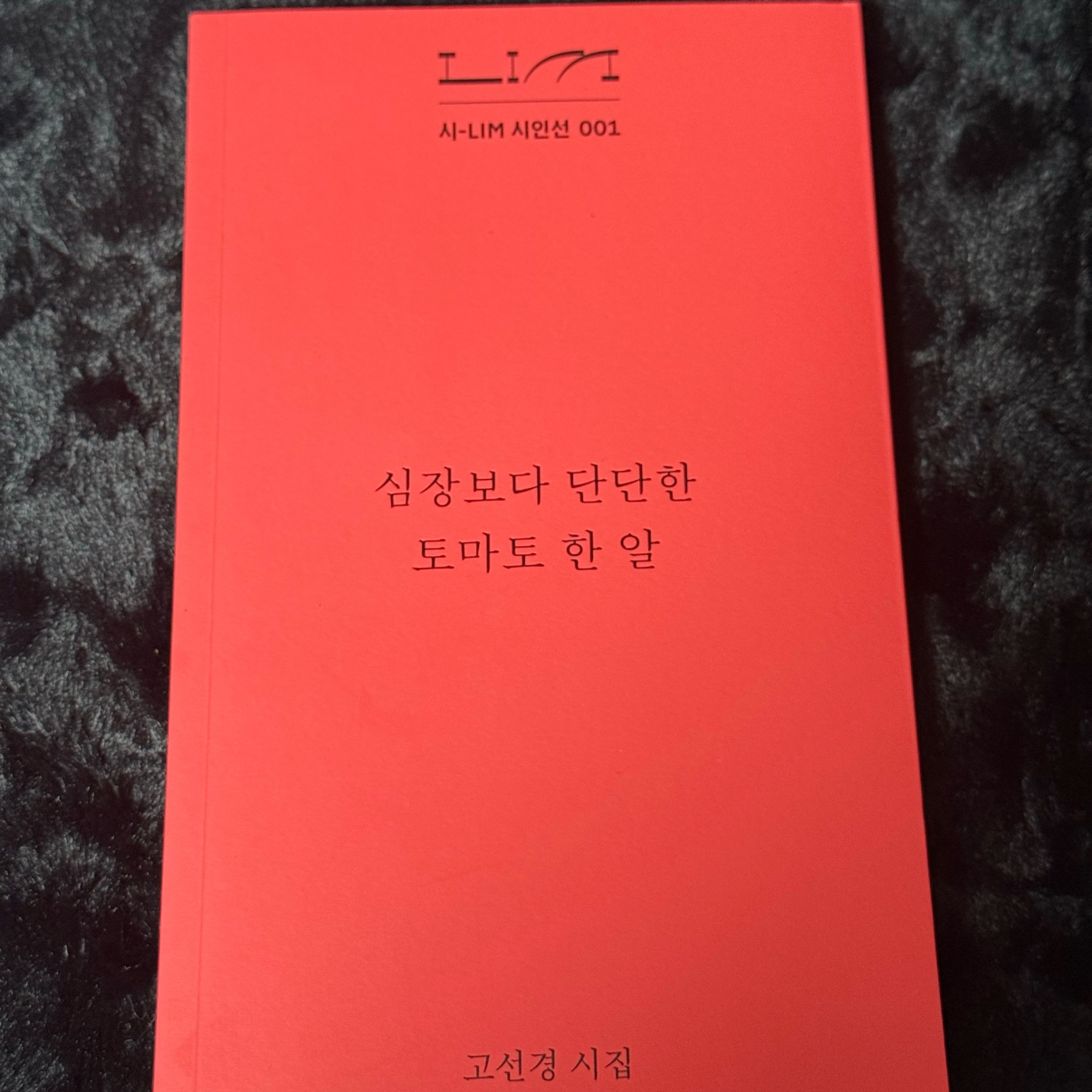 로디님의  게시물 이미지