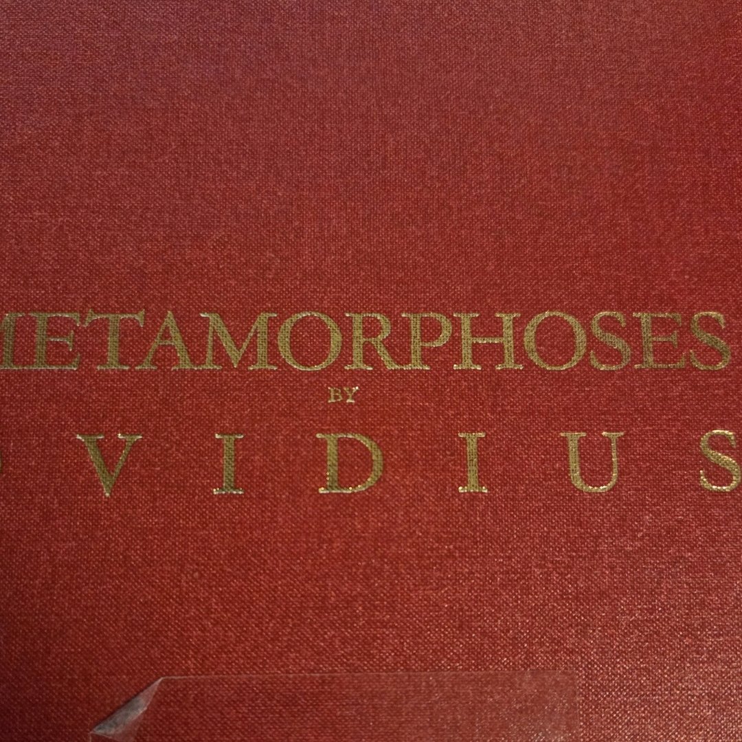 LGO님의 변신 이야기 게시물 이미지