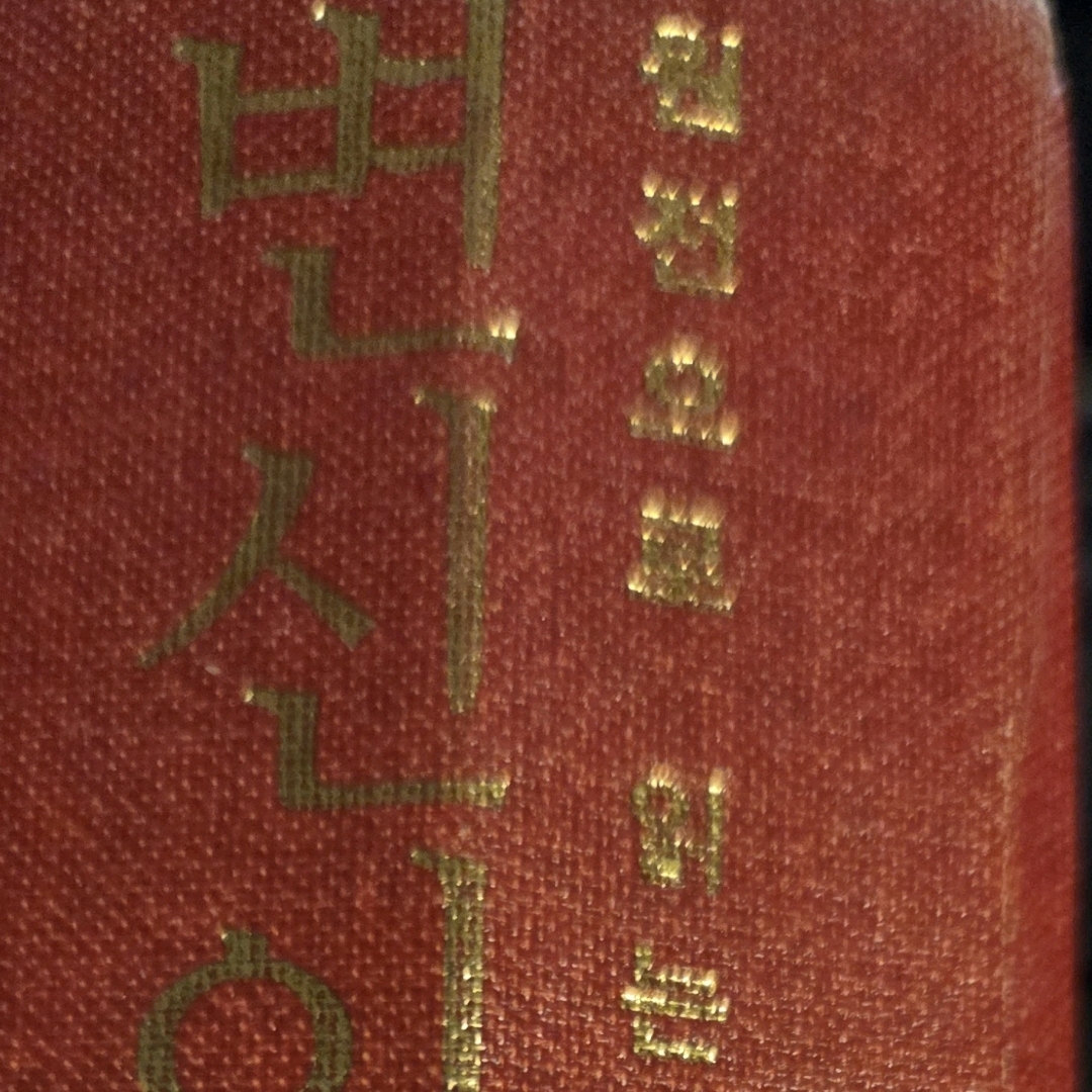 LGO님의 변신 이야기 게시물 이미지