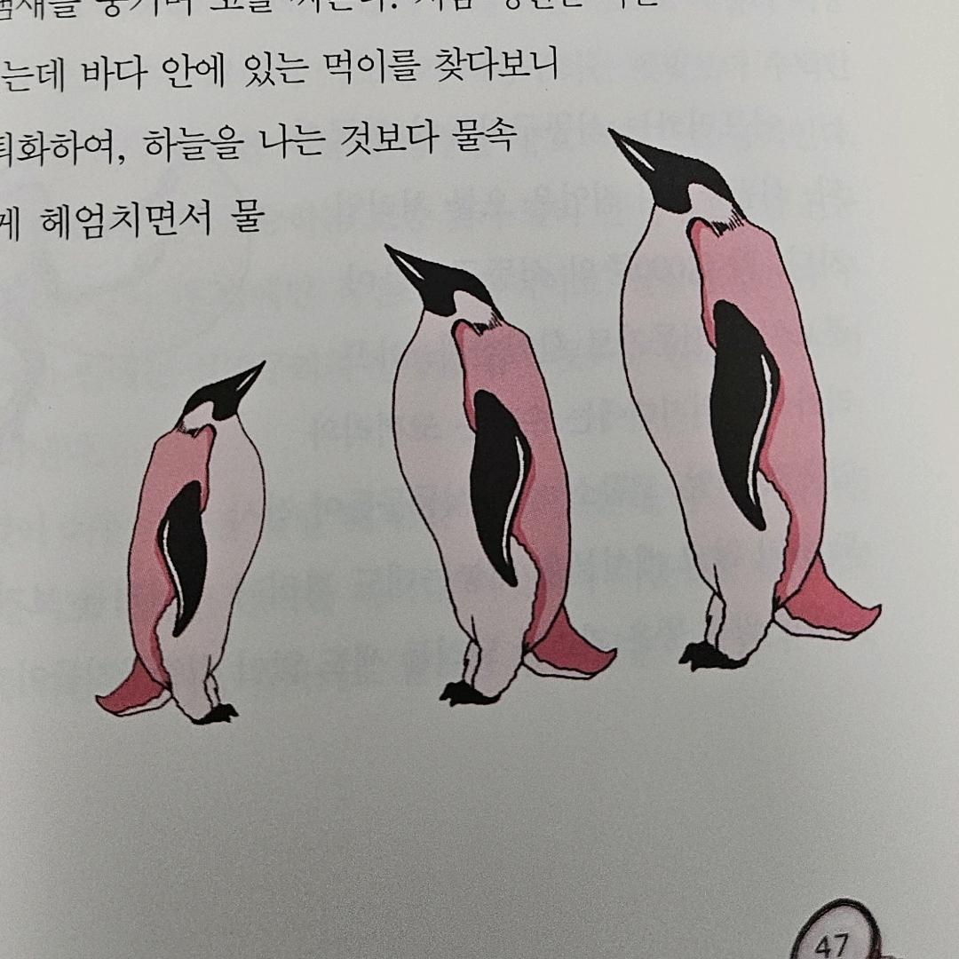 10622이희산님의 똥으로 해결한 과학 =Dung science 게시물 이미지