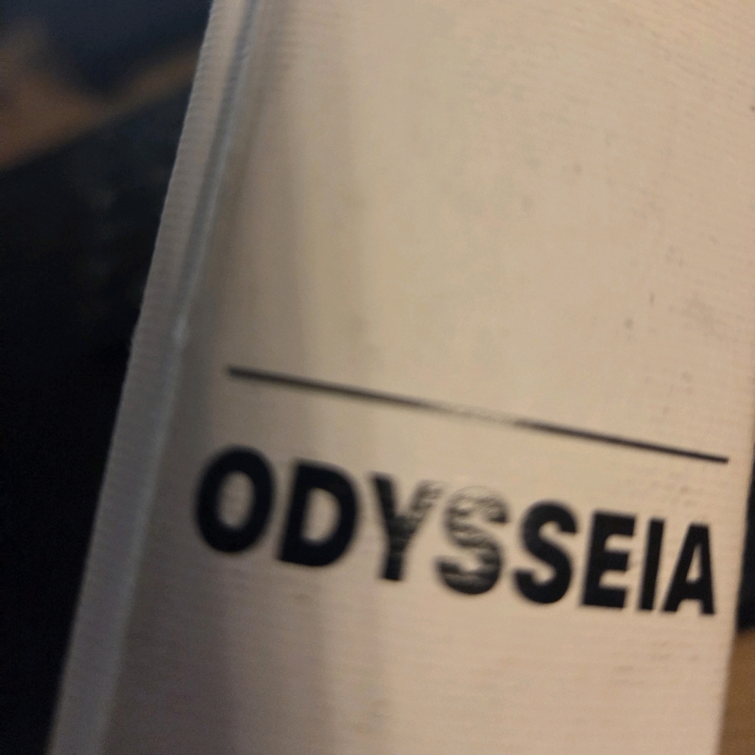 LGO님의 오뒷세이아 게시물 이미지