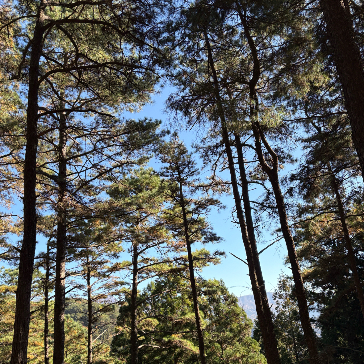 자기전에2닦기님의 가벼운 나로 살고 싶은 당신에게 게시물 이미지