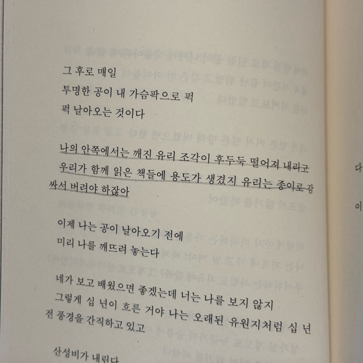 로디님의 심장보다 단단한 토마토 한 알 게시물 이미지