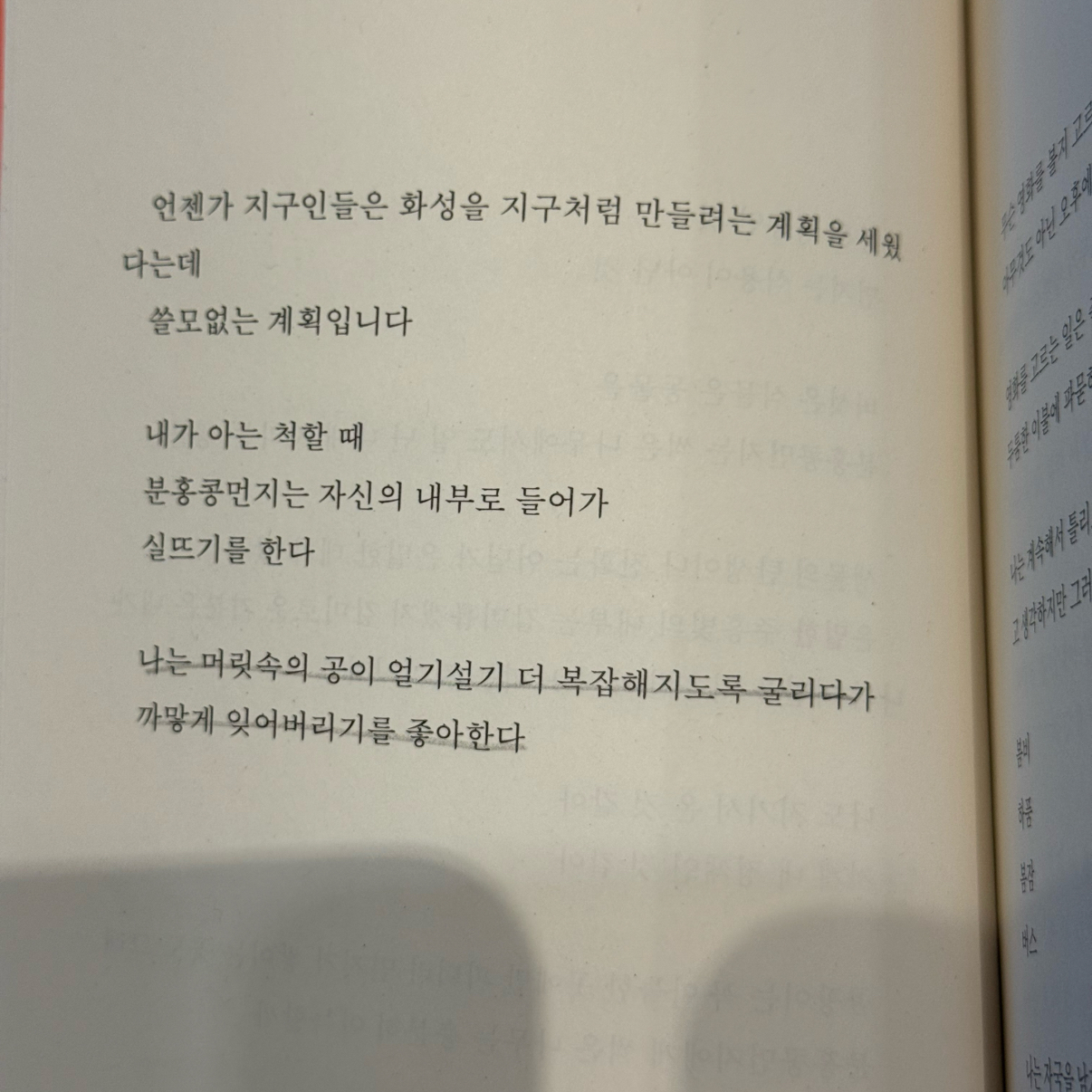 로디님의 심장보다 단단한 토마토 한 알 게시물 이미지