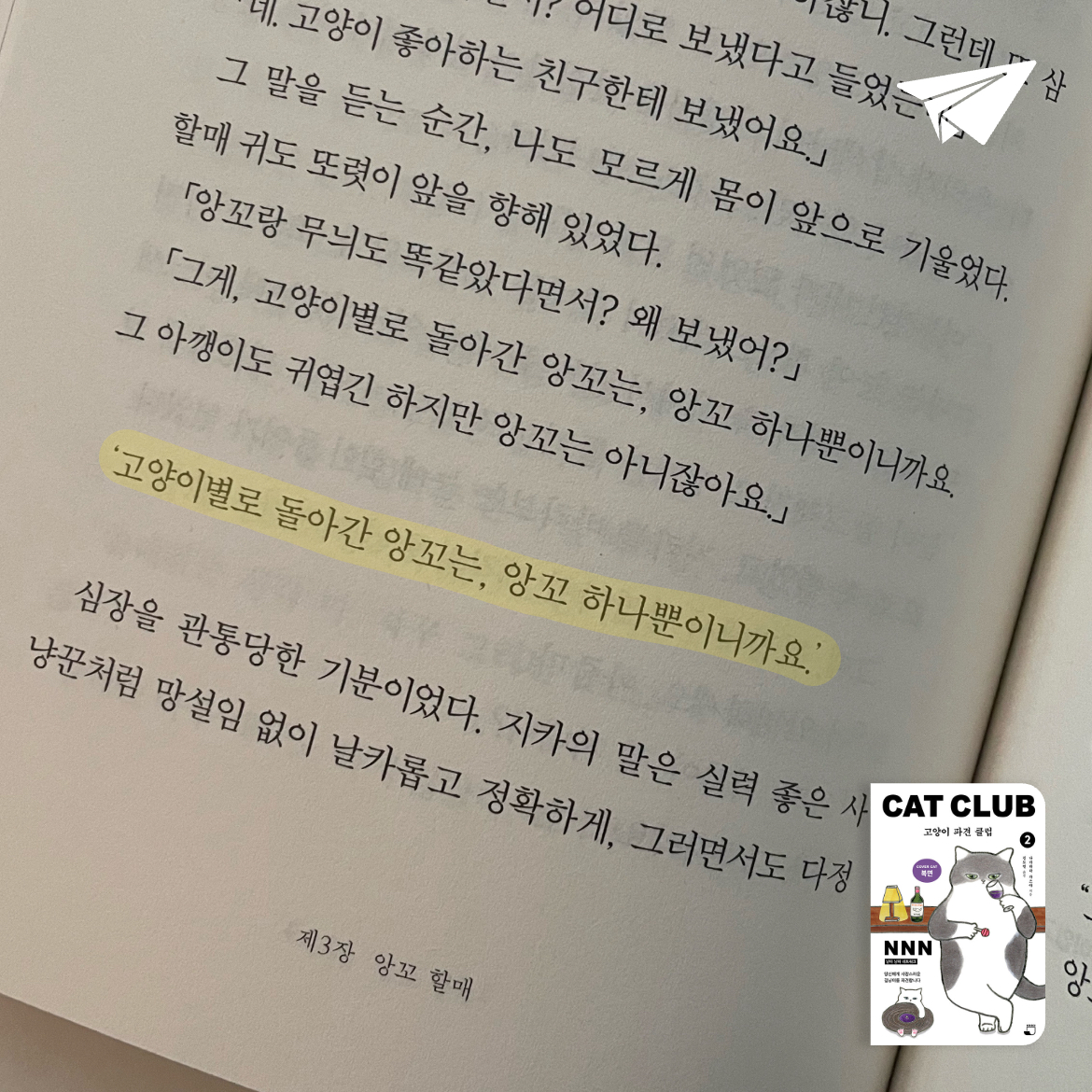 차님님의 고양이 파견 클럽 2 게시물 이미지