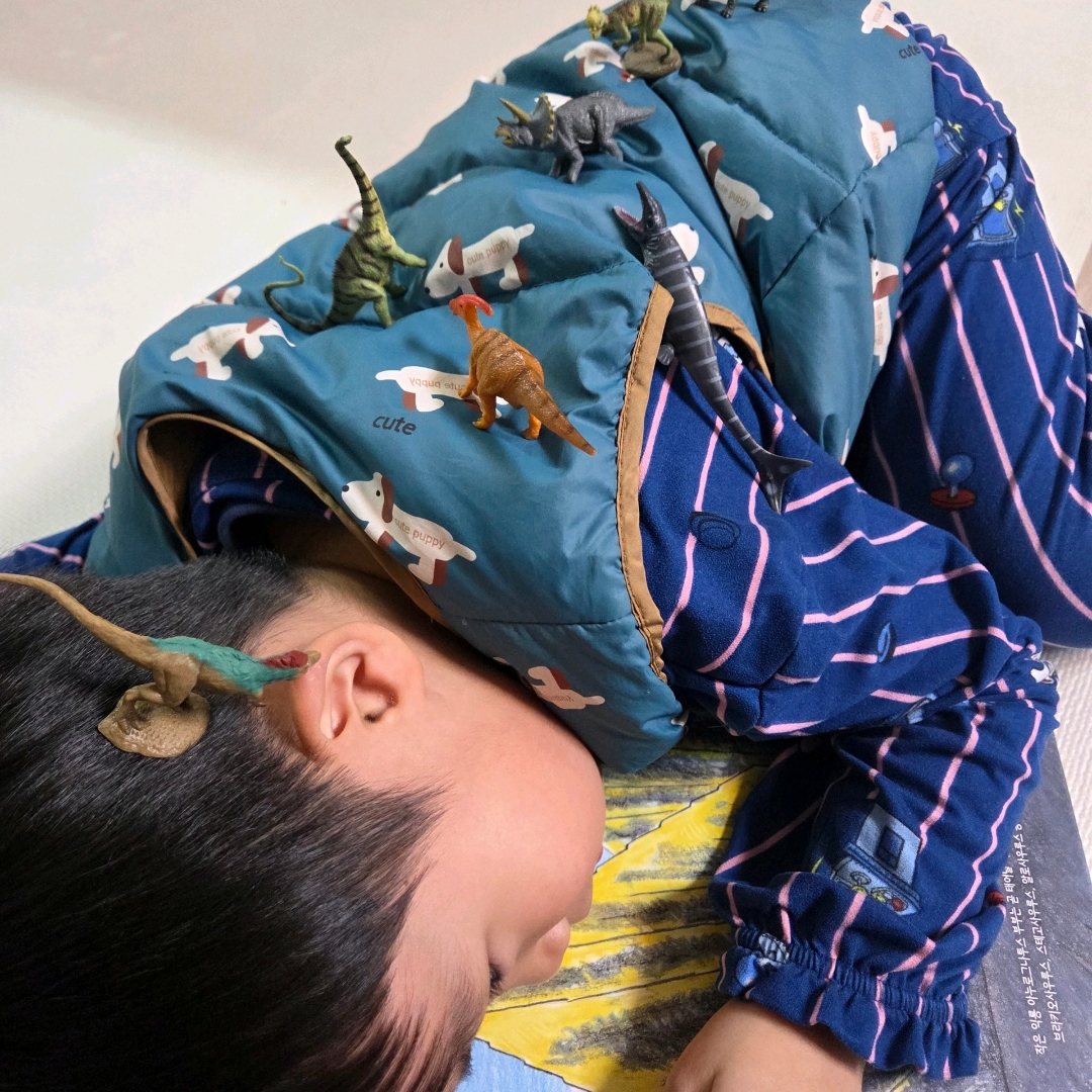 울림님의 움직이는 공룡 집 게시물 이미지