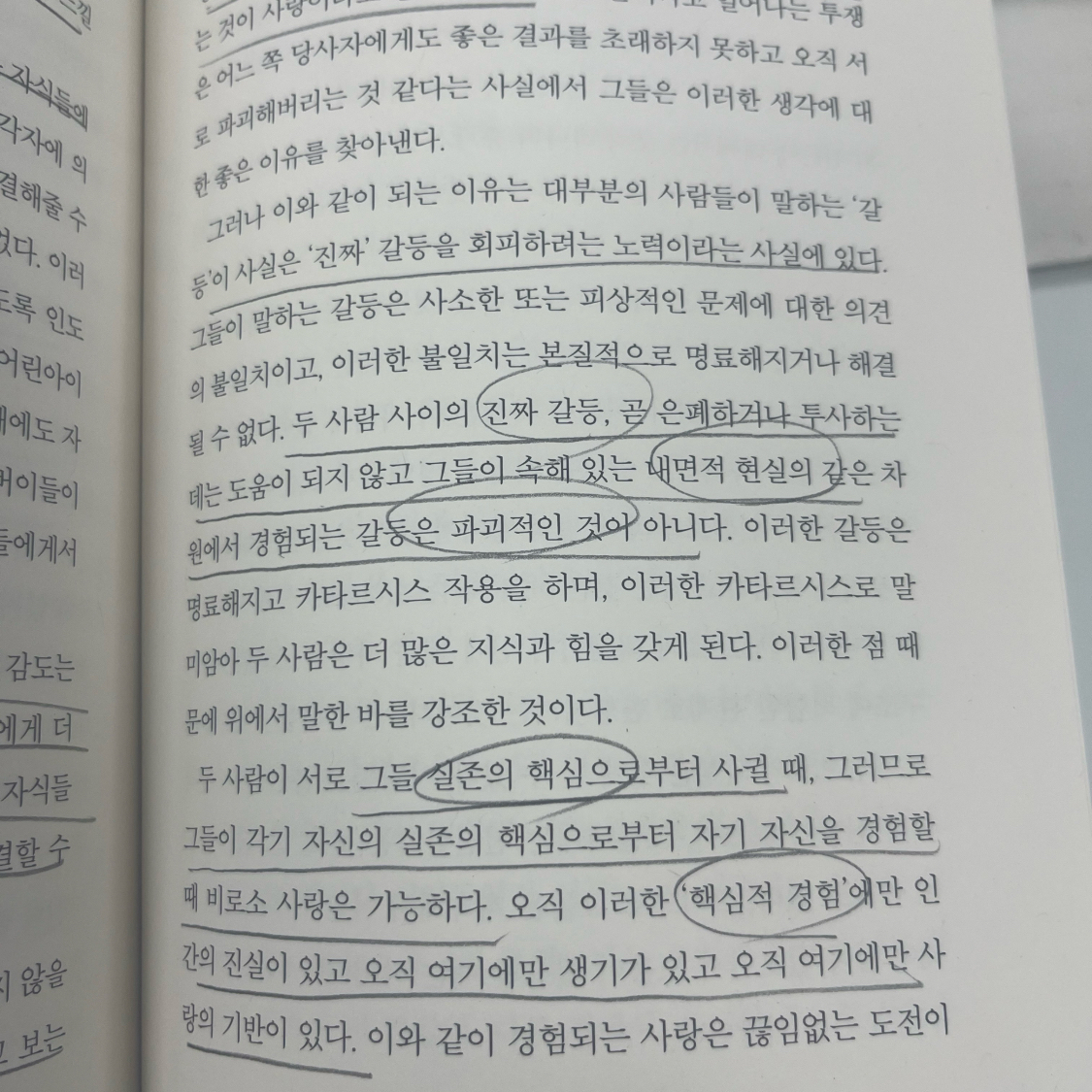 잡식성탐독가님의 게시물 이미지