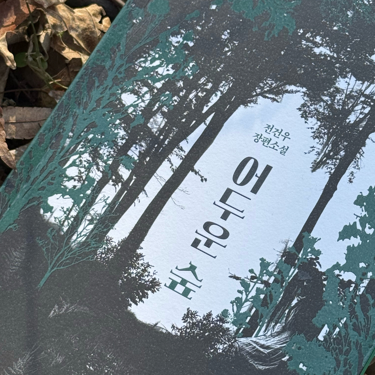 북다올님의  게시물 이미지