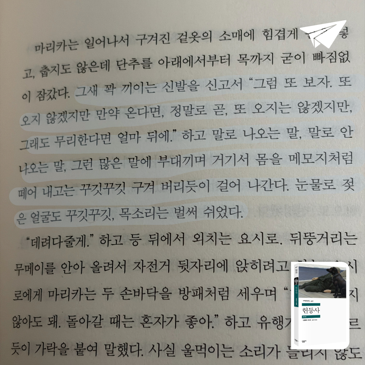 가만안도님의 헌등사 게시물 이미지