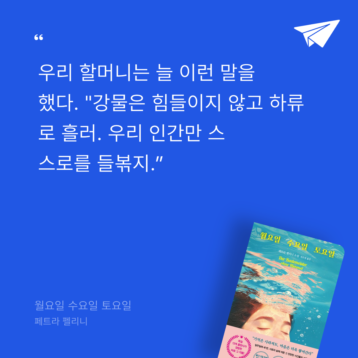 임규용님의 월요일 수요일 토요일 게시물 이미지