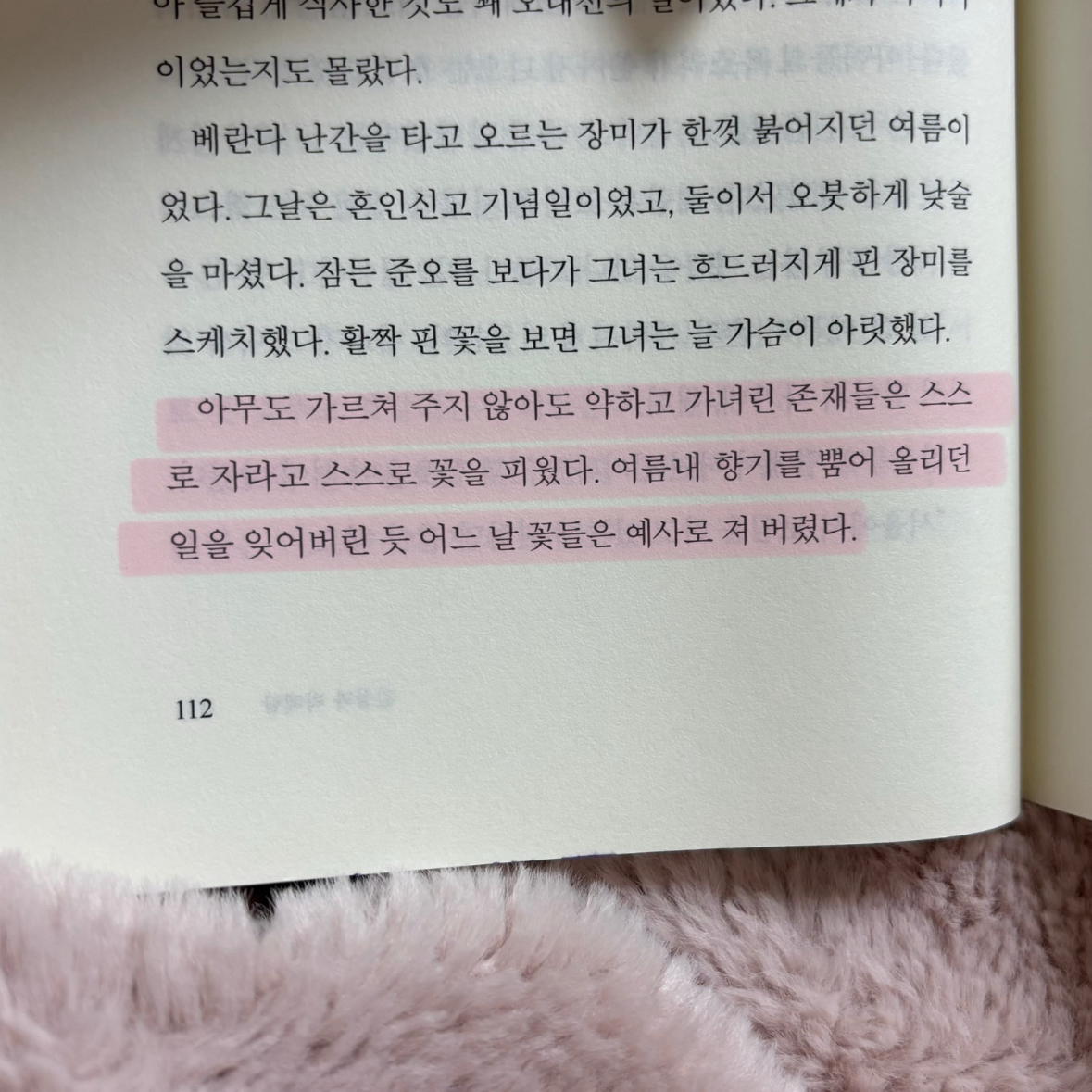 박서아님의 김섬과 박혜람 게시물 이미지