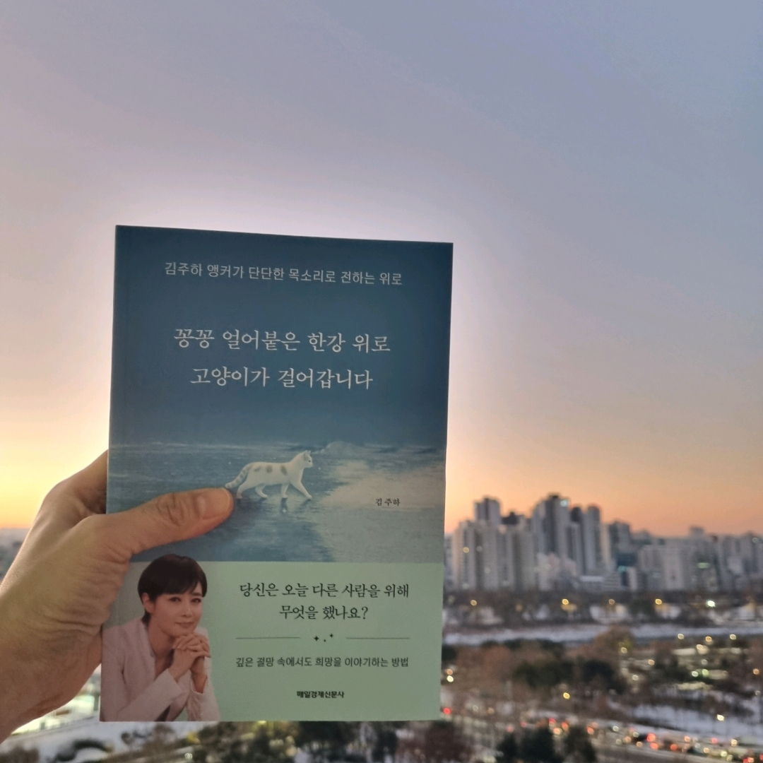 맛있는 하루님의 꽁꽁 얼어붙은 한강 위로 고양이가 걸어갑니다 게시물 이미지