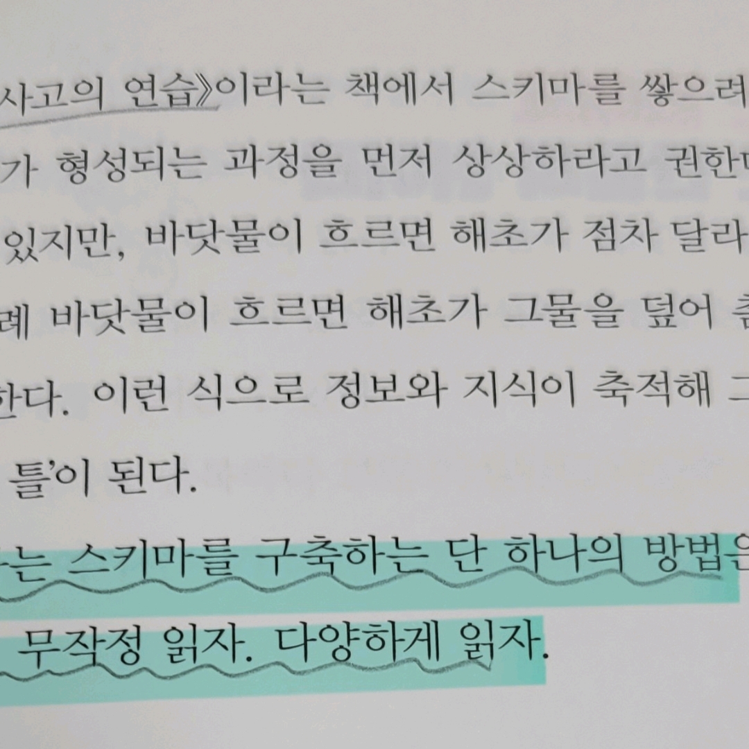 멋쟁이피노님의 게시물 이미지