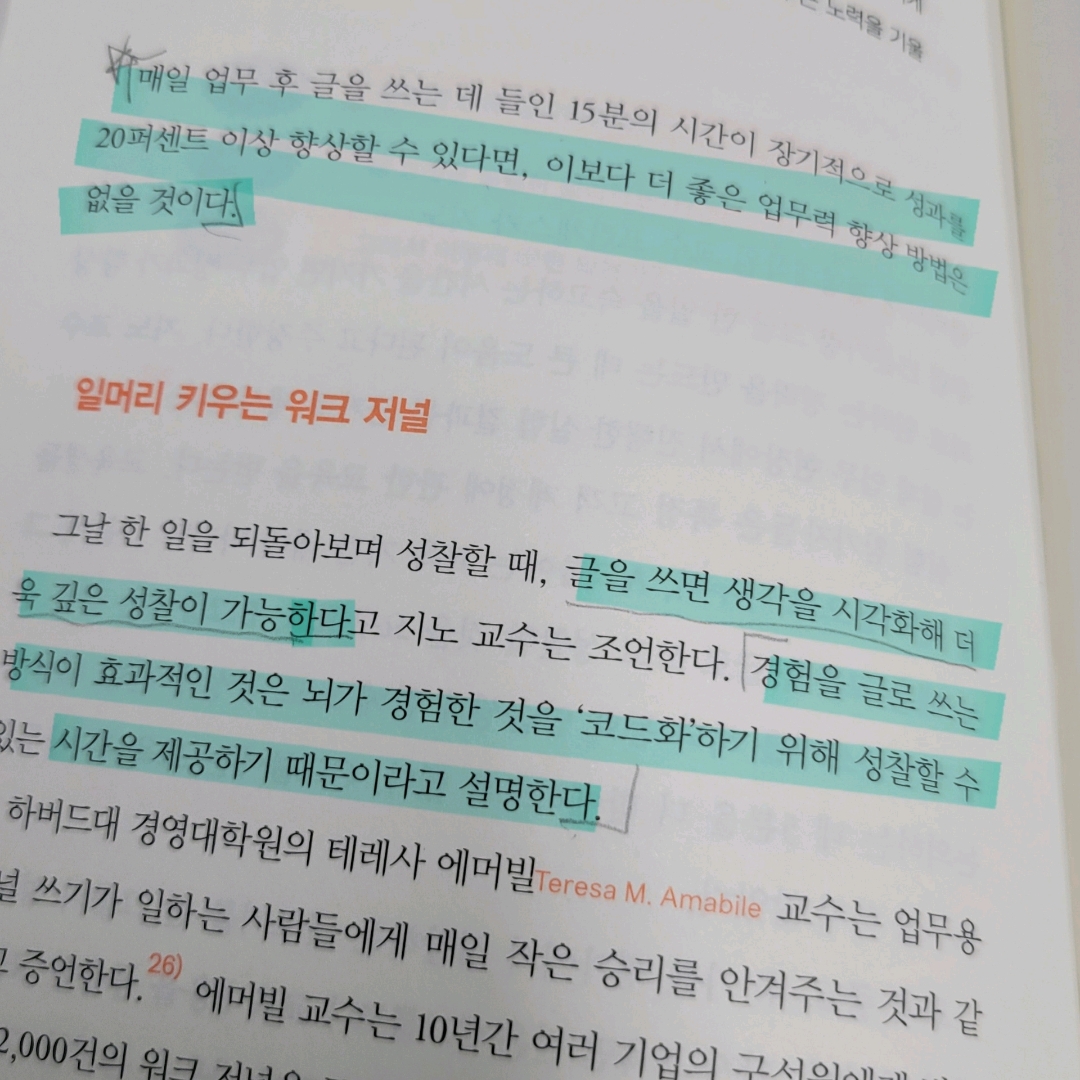 멋쟁이피노님의 게시물 이미지
