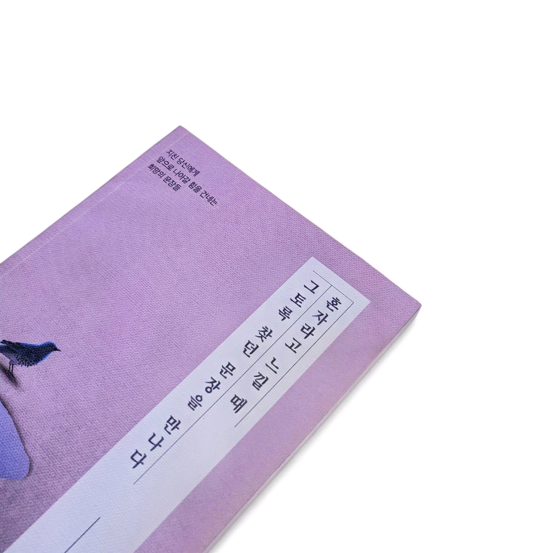 책스타님의 혼자라고 느낄 때 그토록 찾던 문장을 만나다 게시물 이미지