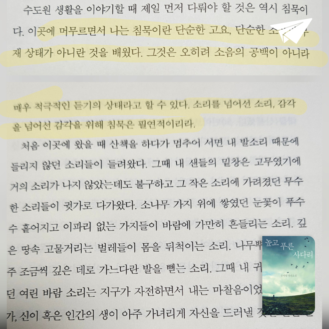 정랑님의 높고 푸른 사다리 게시물 이미지
