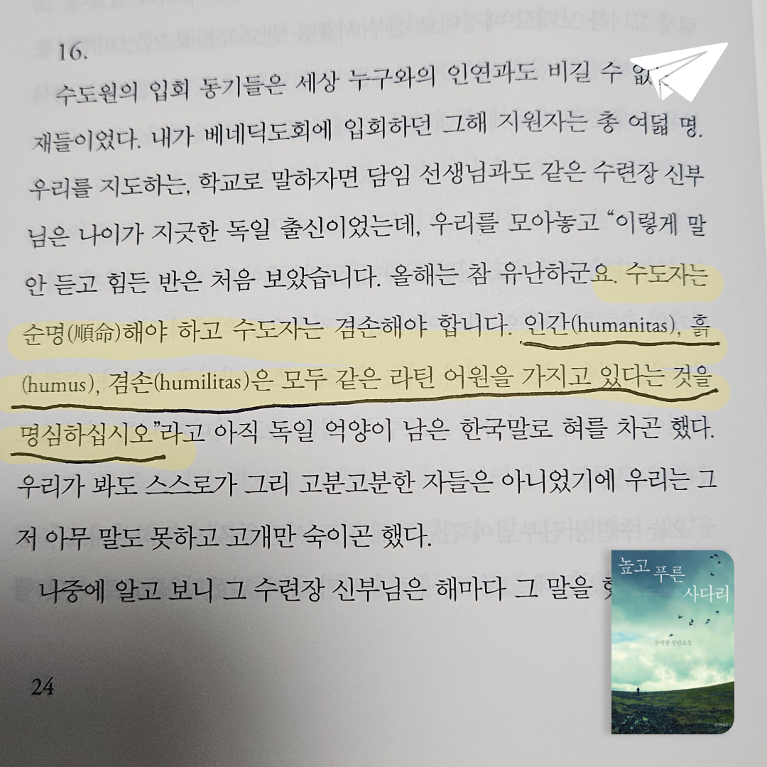정랑님의 높고 푸른 사다리 게시물 이미지
