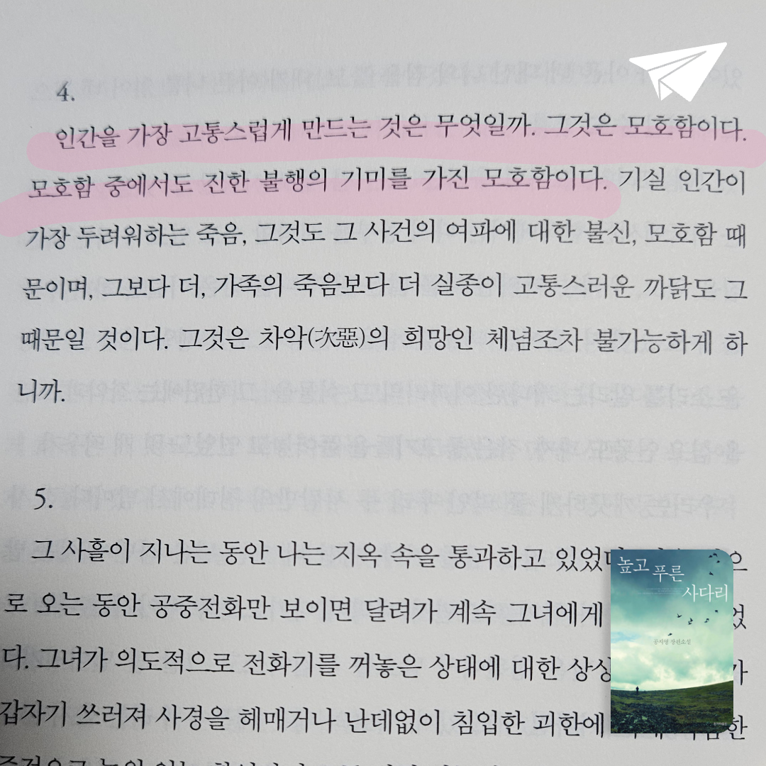 정랑님의 높고 푸른 사다리 게시물 이미지