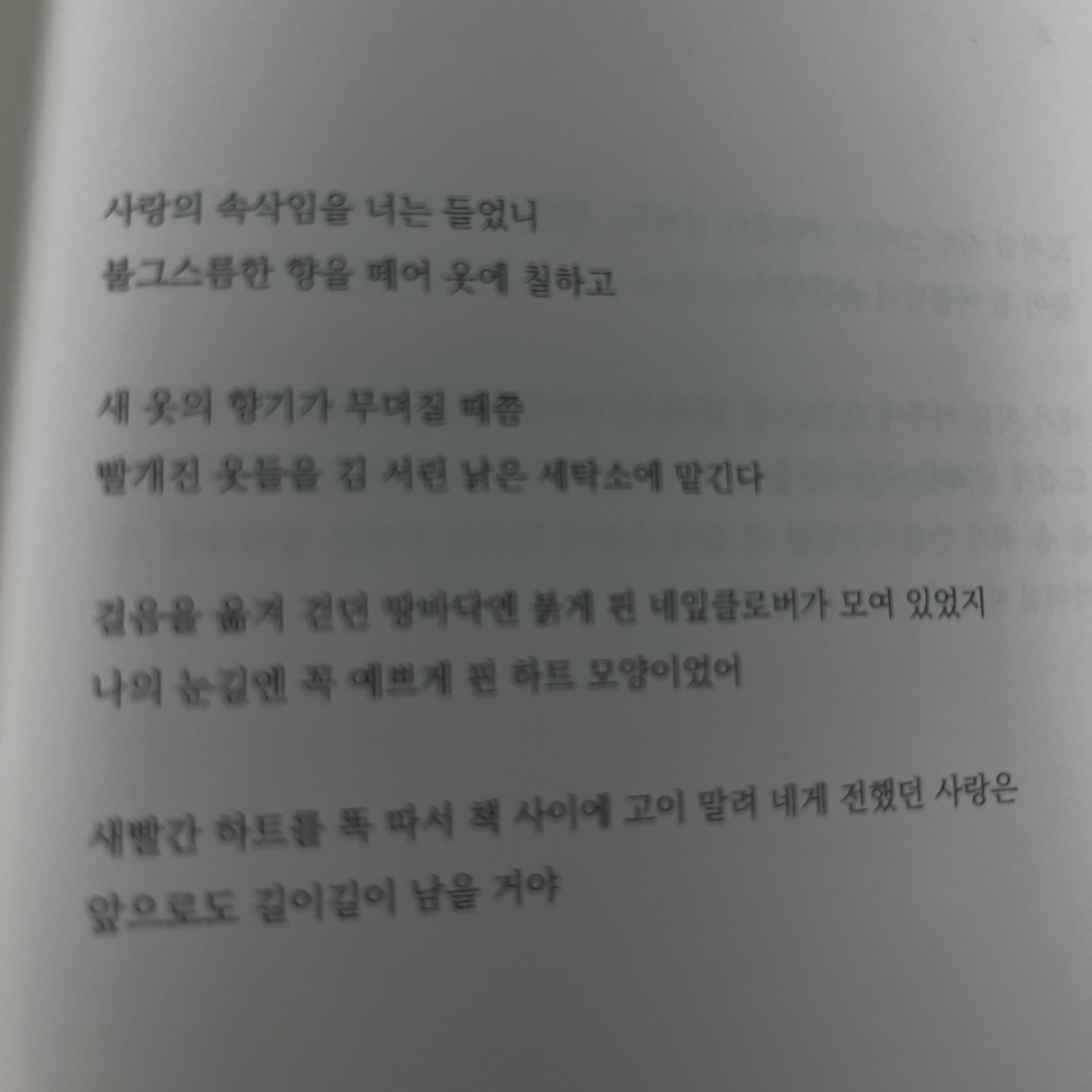 10205 배해람님의 토마토 컵라면 게시물 이미지