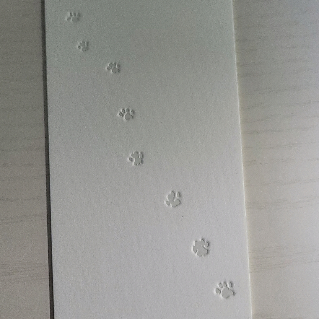 좀님의 게시물 이미지