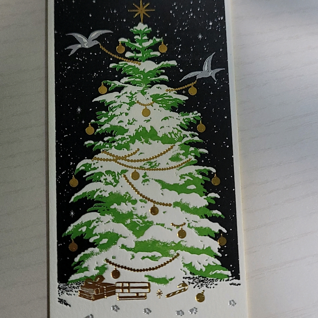 좀님의 게시물 이미지