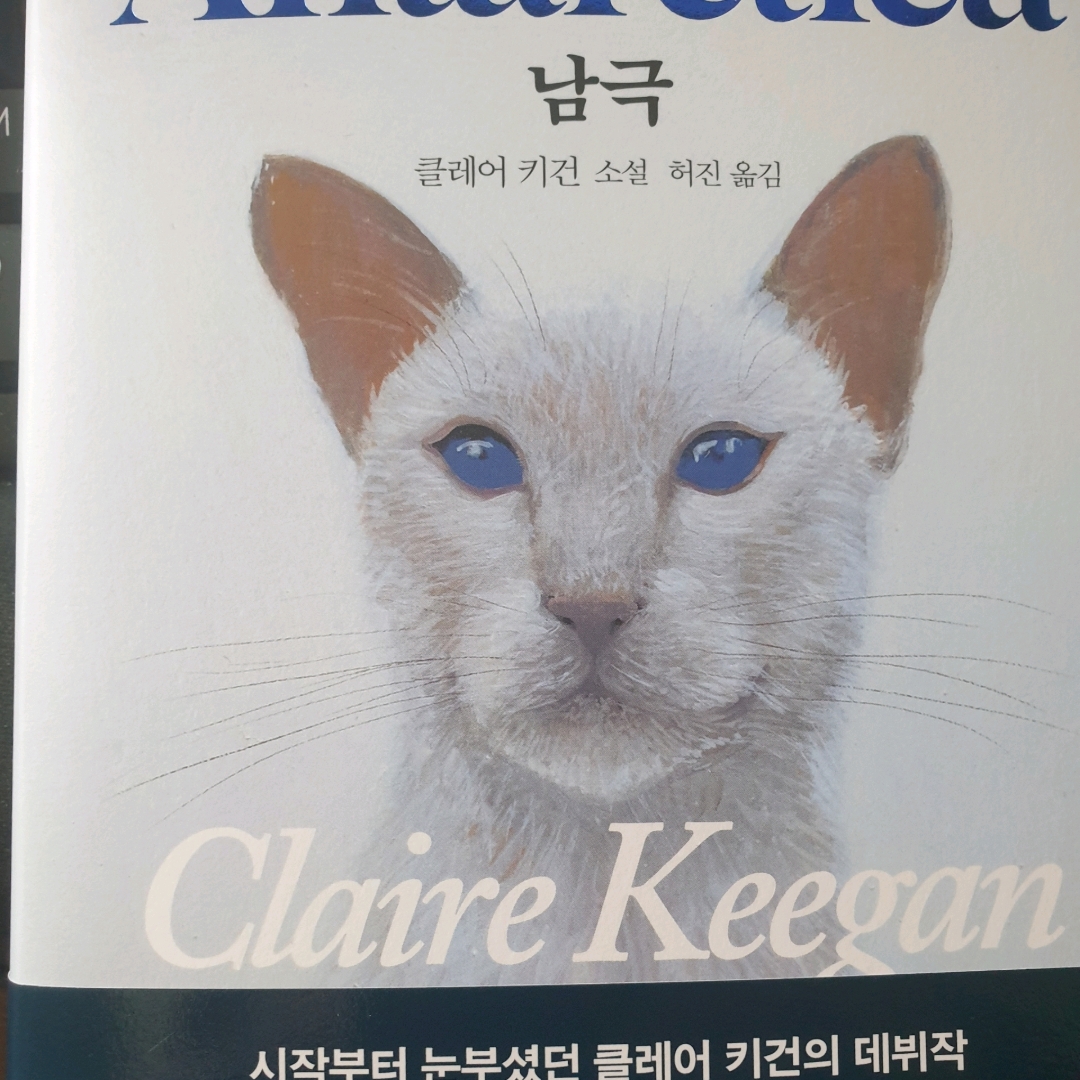 맥거핀님의  게시물 이미지