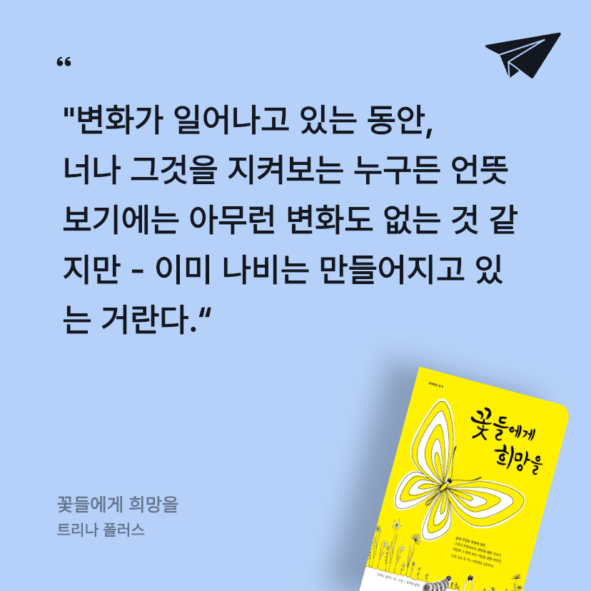 안건백님의 꽃들에게 희망을 게시물 이미지