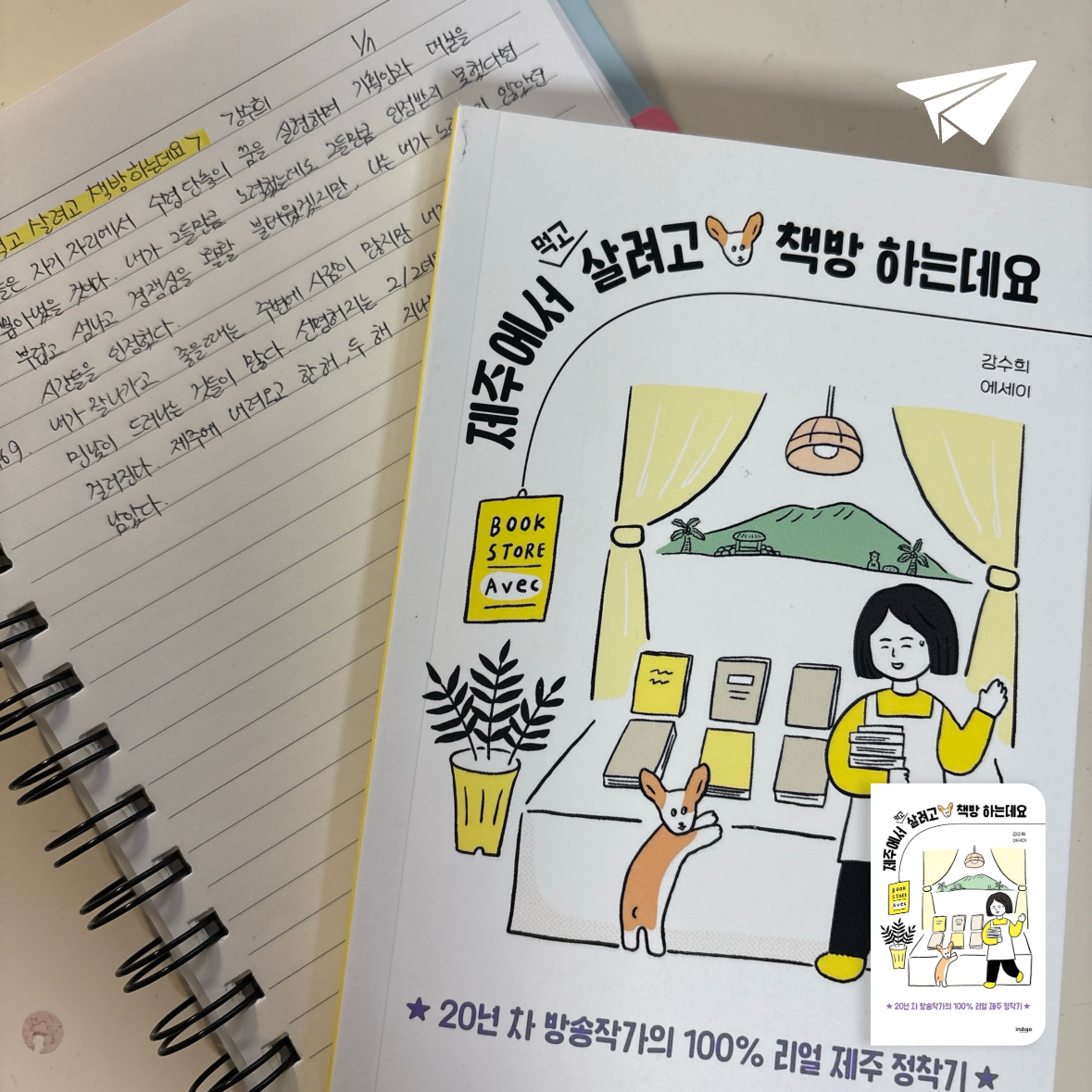 제플린님의 제주에서 먹고 살려고 책방 하는데요 게시물 이미지