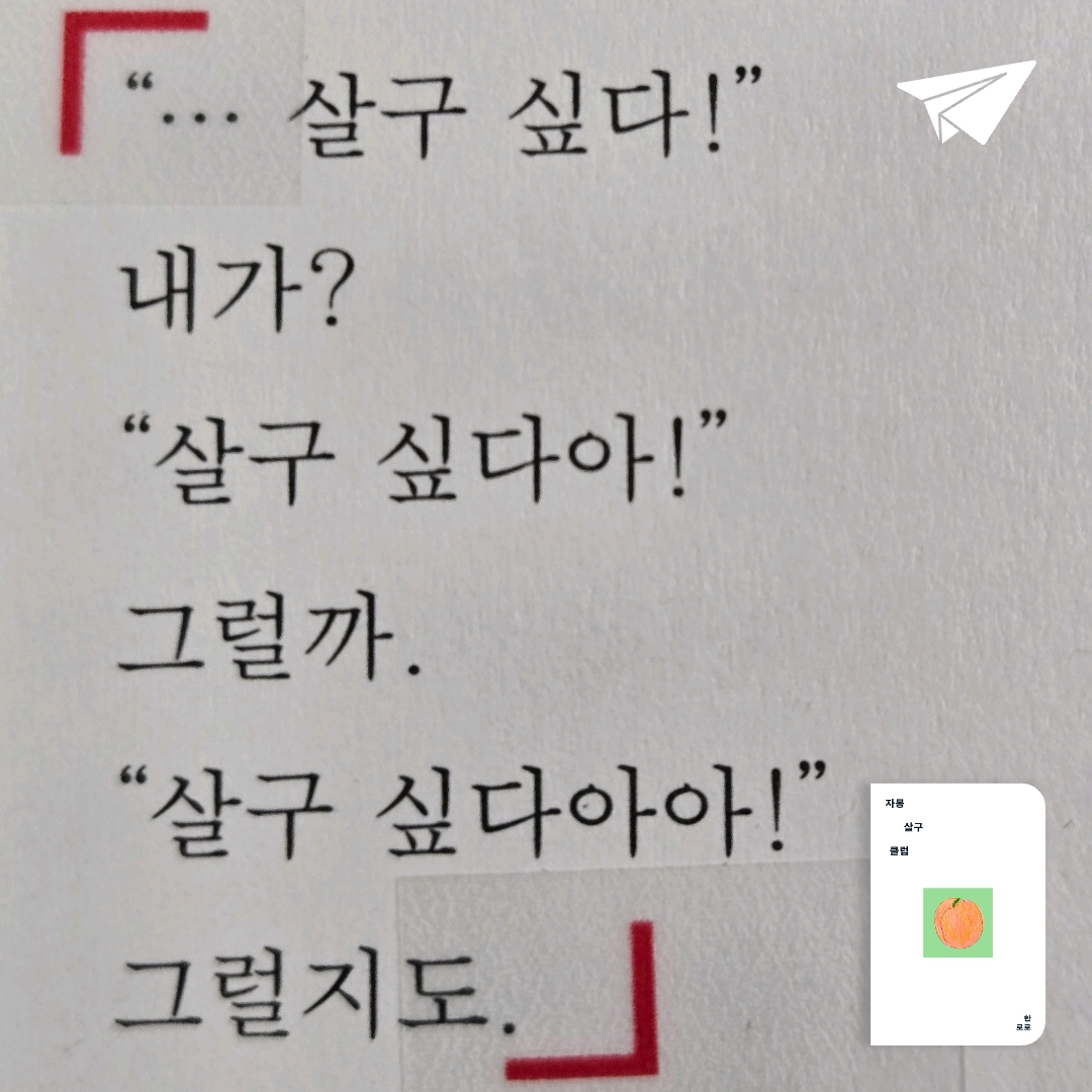 인니힣님의 자몽살구클럽 게시물 이미지