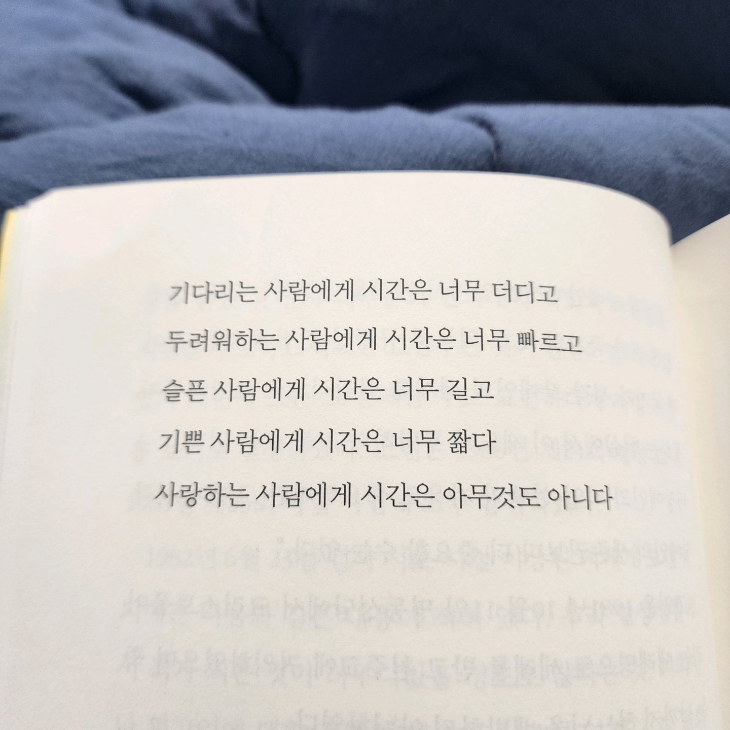 여리박빙님의 호의에 대하여 게시물 이미지