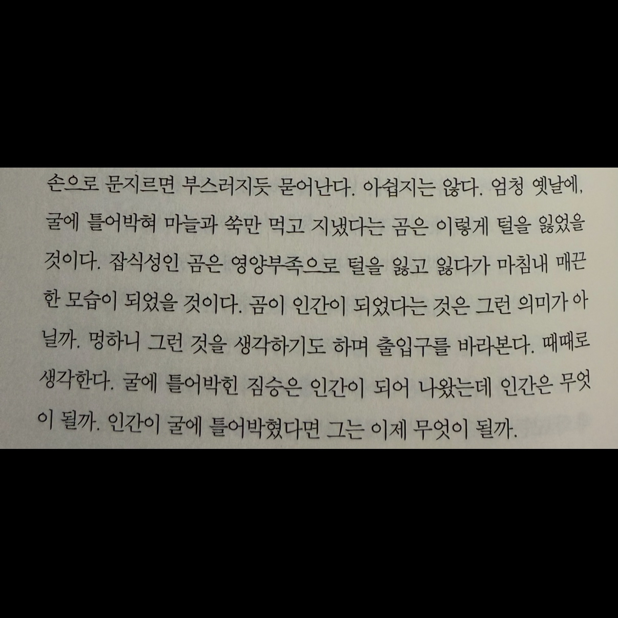 히둥님의 아무도 아닌 게시물 이미지