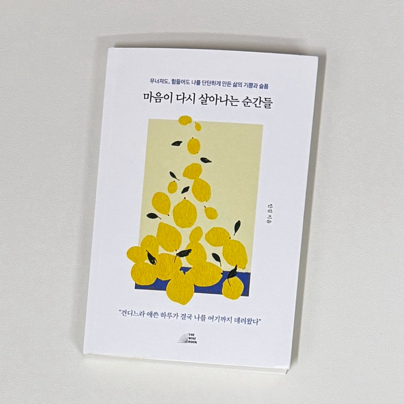 이민정님의 마음이 다시 살아나는 순간들 게시물 이미지