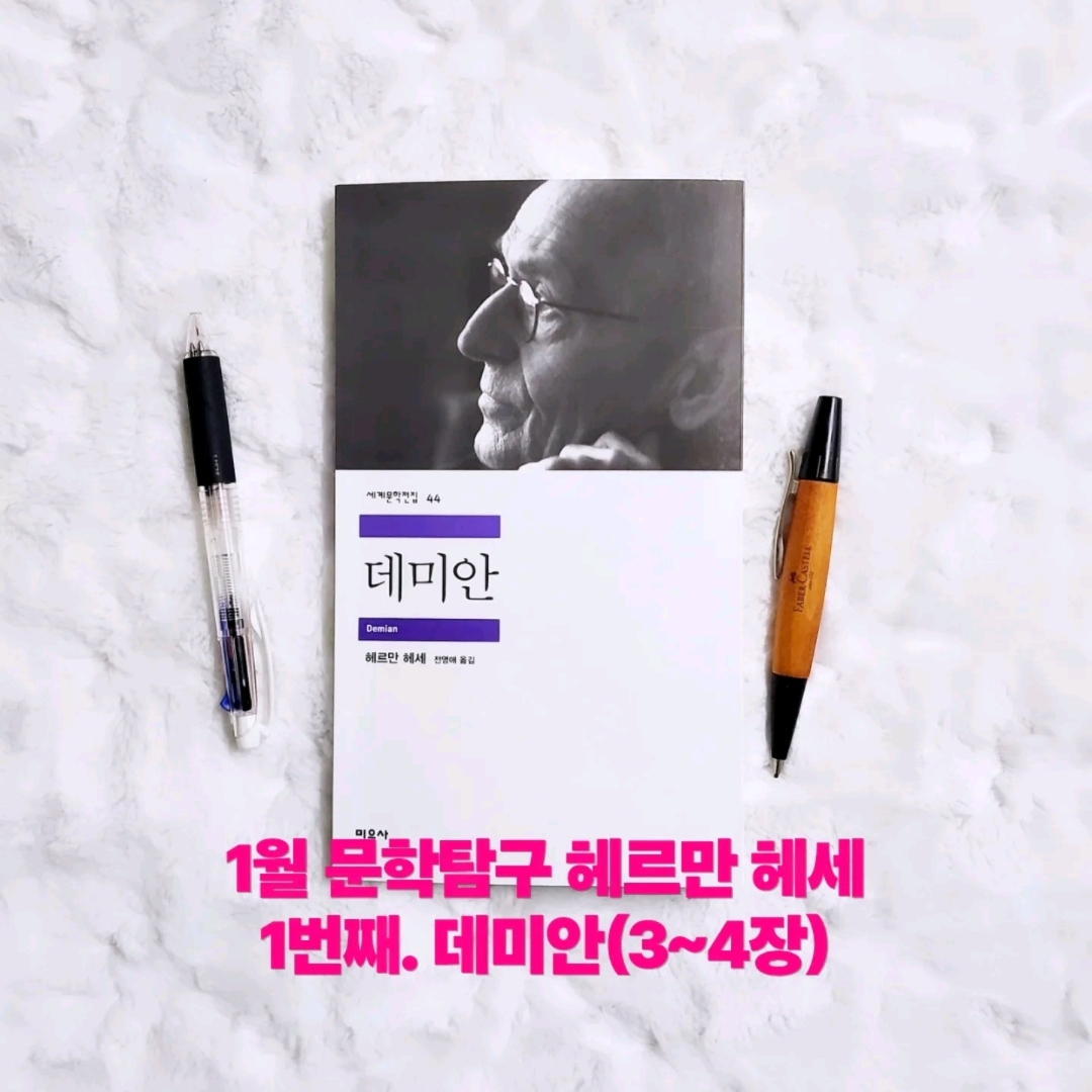 나래슈즈님의 데미안 게시물 이미지