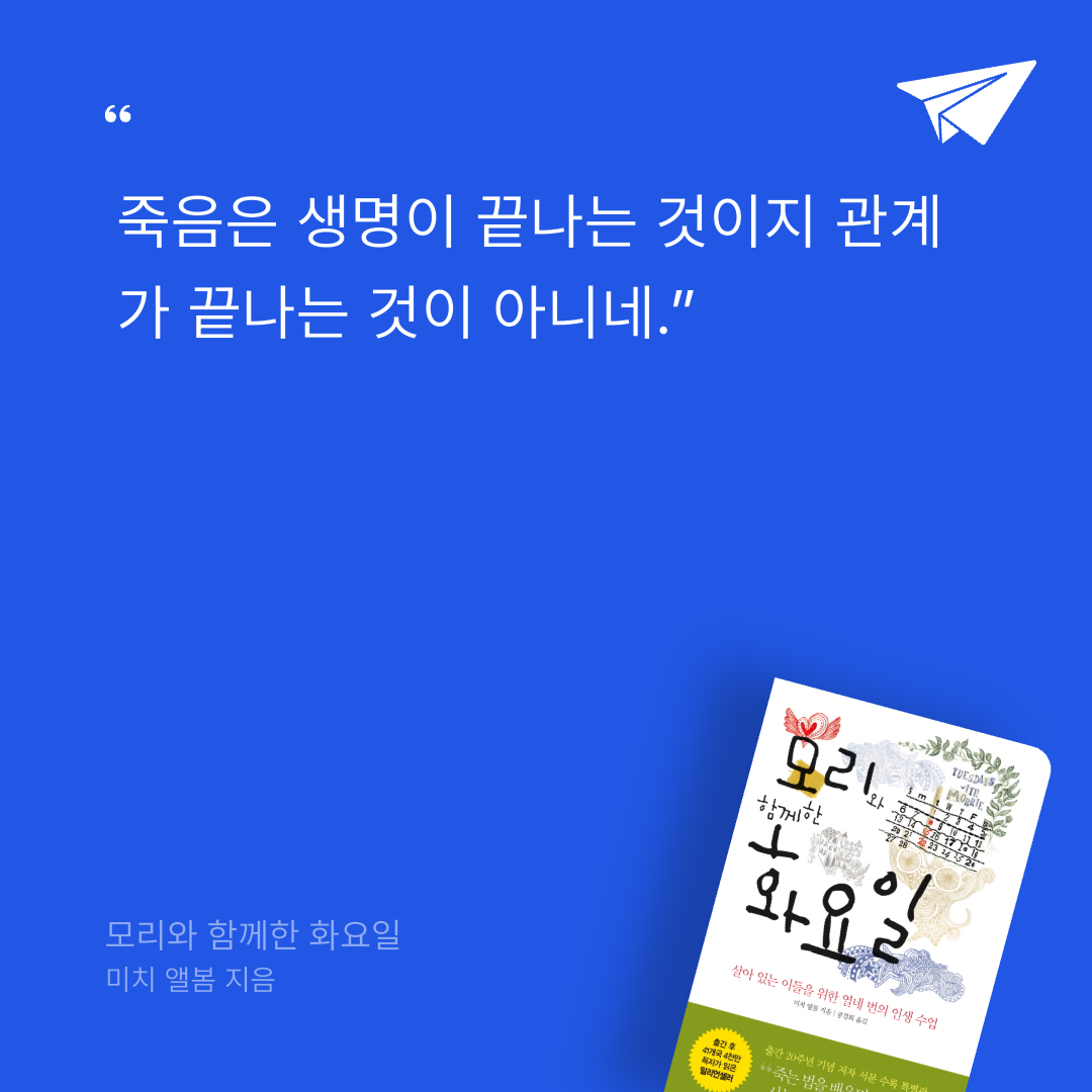 위즈로그님의 모리와 함께한 화요일 게시물 이미지