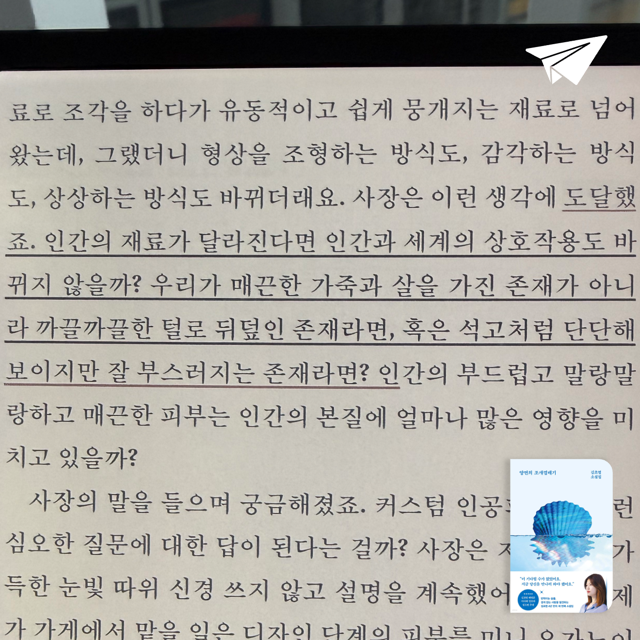 큰목소리님의 양면의 조개껍데기 게시물 이미지