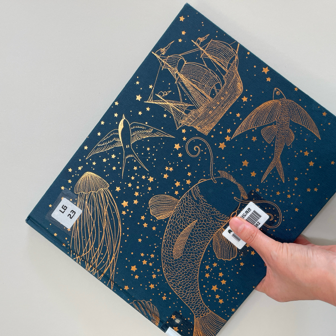 Soonjin님의 Ocean meets sky 게시물 이미지