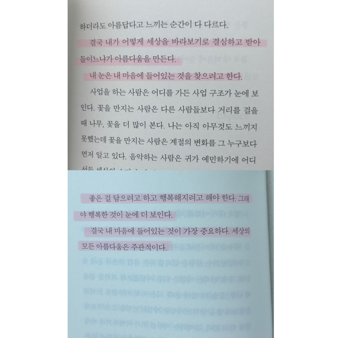 박서아님의 사는 동안 틈틈이 행복합시다 게시물 이미지