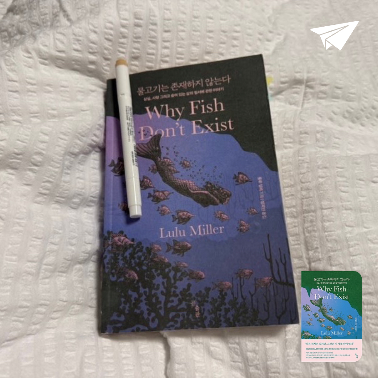 안나님의 물고기는 존재하지 않는다 게시물 이미지