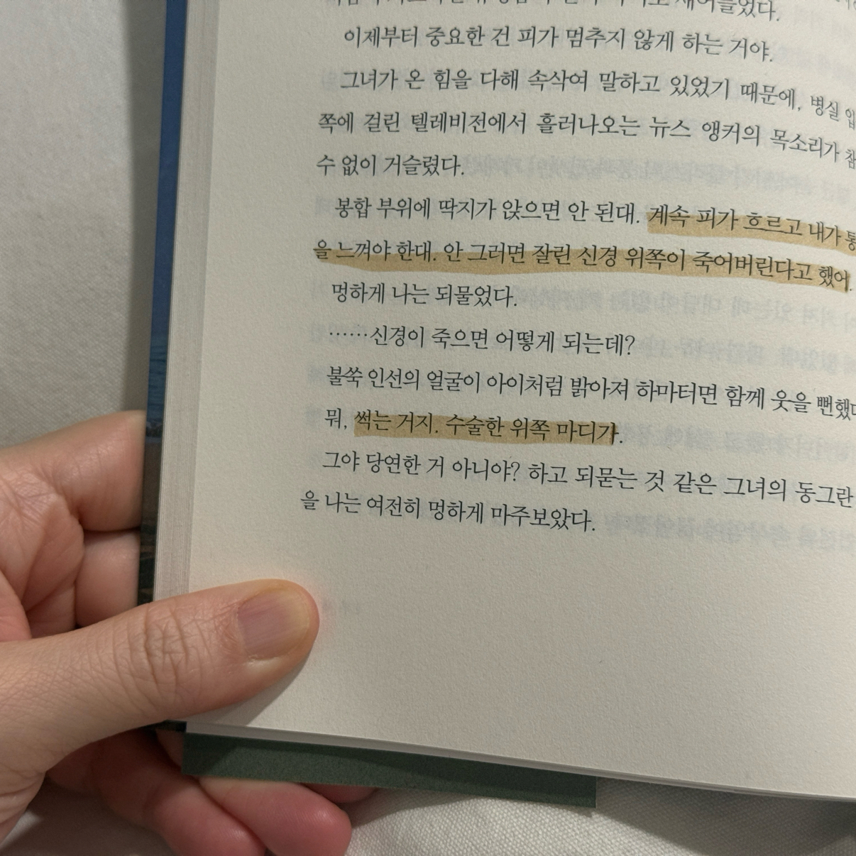 안나님의 작별하지 않는다 게시물 이미지