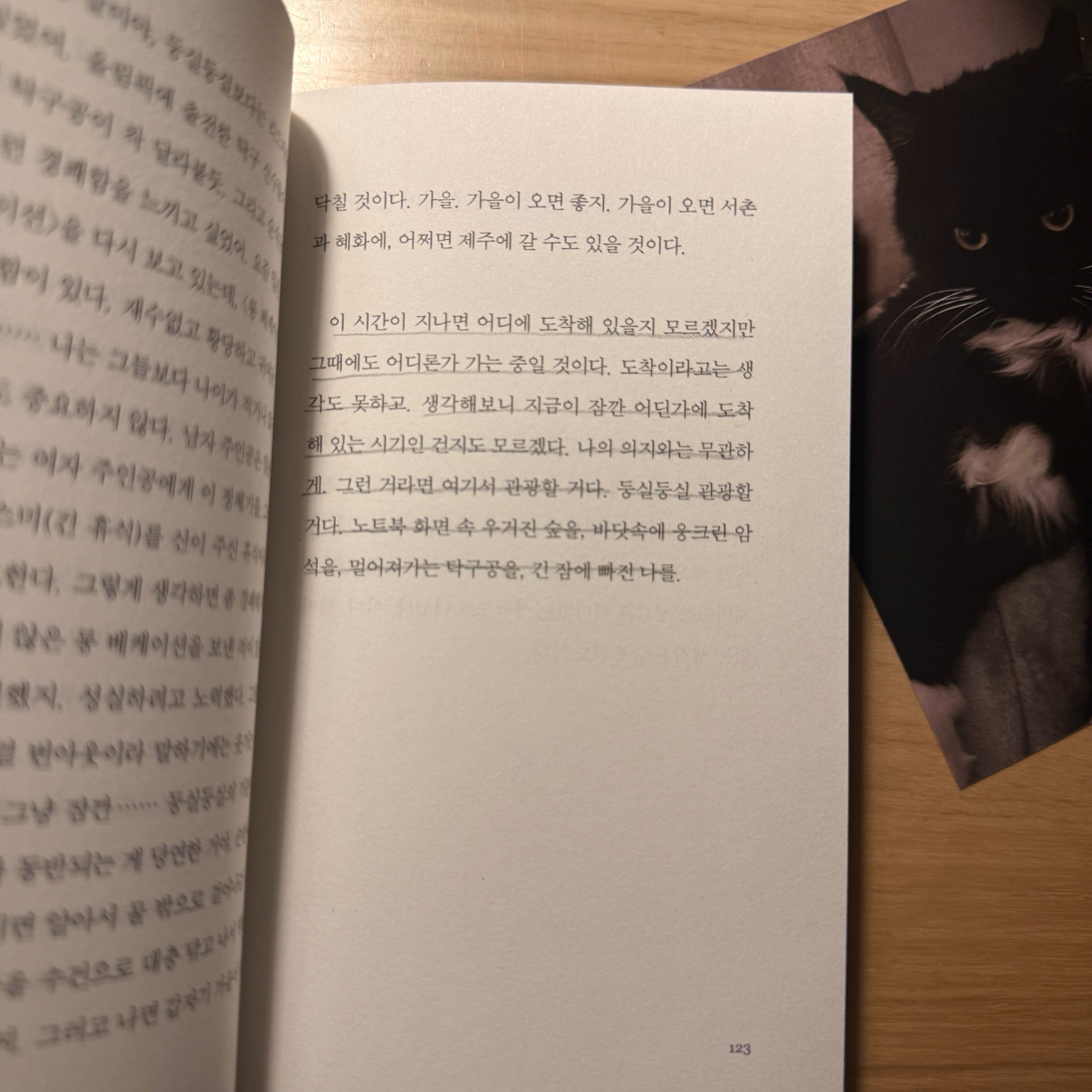 로디님의 내 꿈에 가끔만 놀러와 게시물 이미지