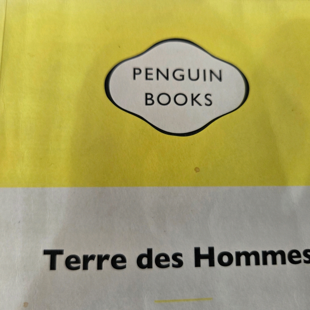 LGO님의 인간의 대지 게시물 이미지