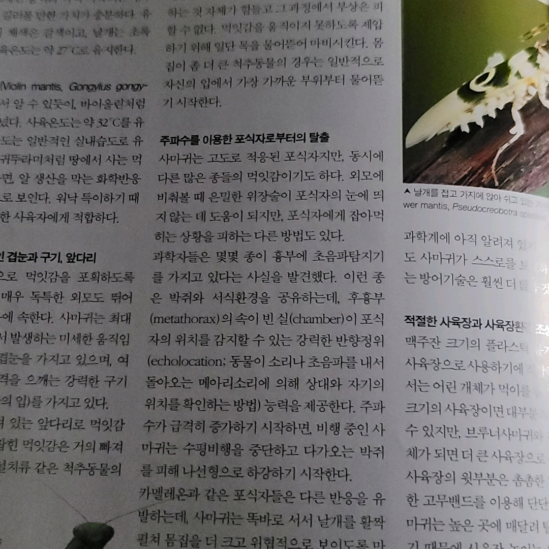 좀님의 게시물 이미지