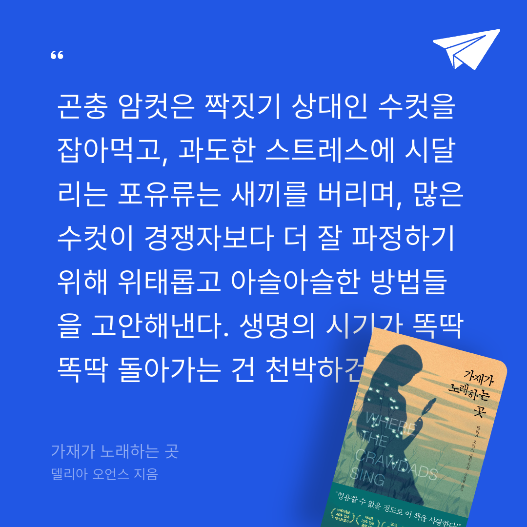 애프터님의 가재가 노래하는 곳 게시물 이미지