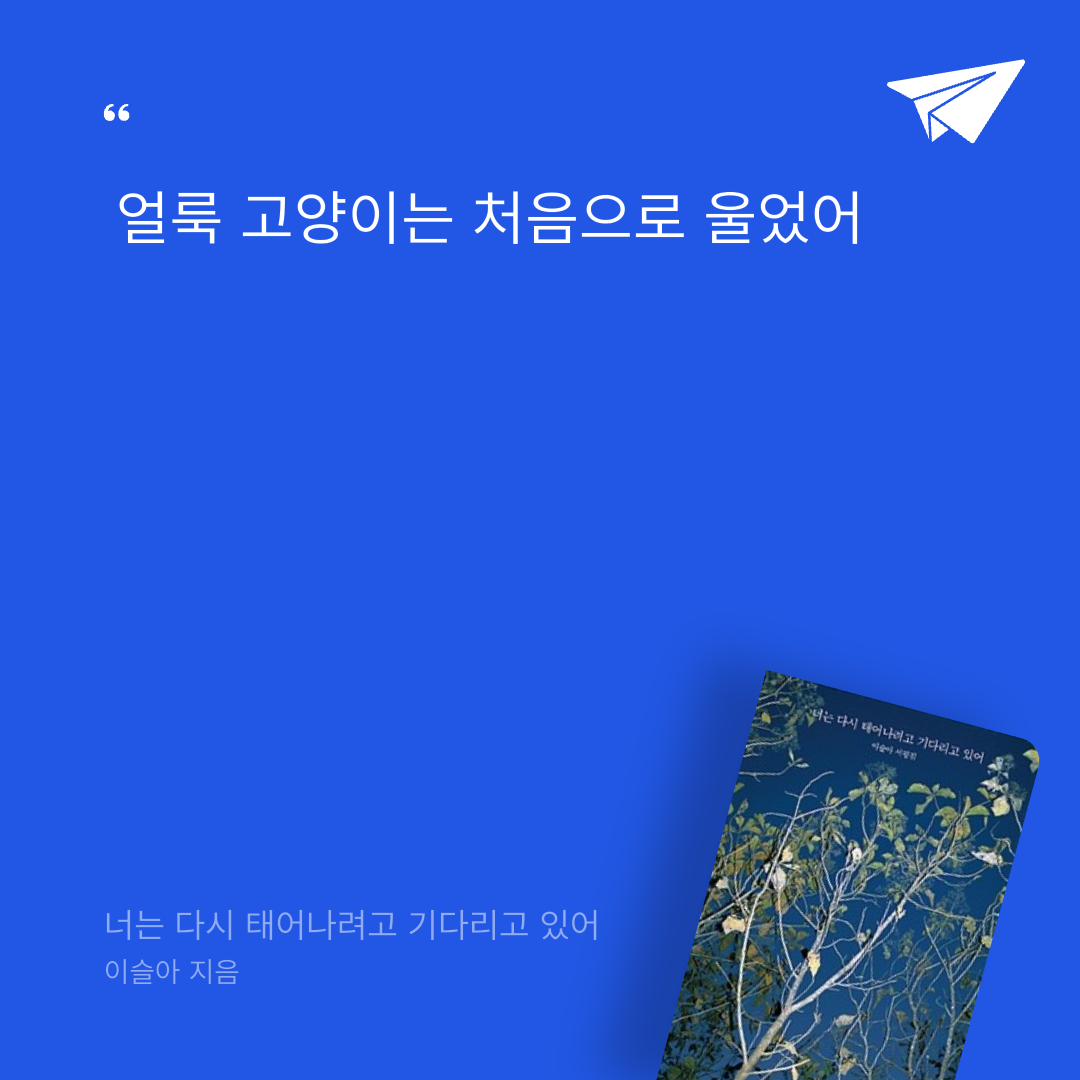 뚜부님의 너는 다시 태어나려고 기다리고 있어 게시물 이미지