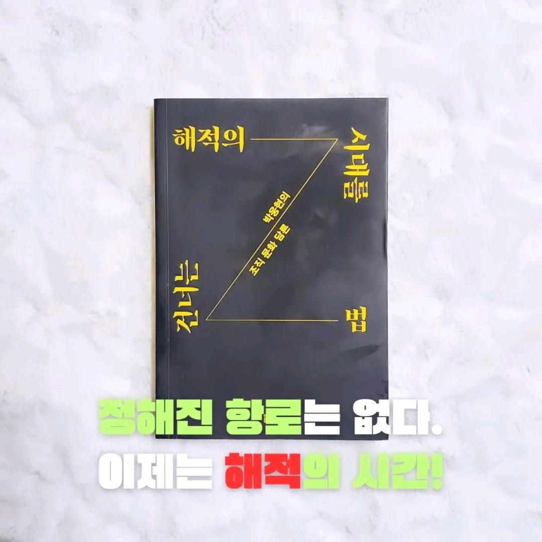 업스트리머님의 해적의 시대를 건너는 법 게시물 이미지